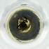  ( - POMS_095_D12)  @11 [ ] by  Genome Research Ltd as Wellcome Sanger Institute Genome Research Limited operating as Wellcome Sanger Institute