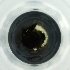  ( - POMS_097_B4)  @11 [ ] by  Genome Research Ltd as Wellcome Sanger Institute Genome Research Limited operating as Wellcome Sanger Institute
