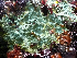  ( - KML1218)  @11 [ ] Unspecified (default): All Rights Reserved  Unspecified Unspecified
