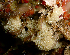 ( - KML1220)  @11 [ ] Unspecified (default): All Rights Reserved  Unspecified Unspecified