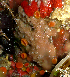  ( - KML1222)  @11 [ ] Unspecified (default): All Rights Reserved  Unspecified Unspecified