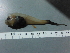  ( - PCB019)  @11 [ ] Unspecified (default): All Rights Reserved  Unspecified Unspecified