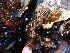  ( - GWS013032)  @11 [ ] CreativeCommons - Attribution Non-Commercial Share-Alike (2010) Unspecified University of New Brunswick