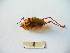  ( - 02DRAGO_D03)  @13 [ ] Copyright  G. Blagoev 2010 Unspecified