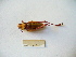  ( - 02DRAGO_D04)  @13 [ ] Copyright  G. Blagoev 2010 Unspecified
