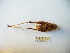  ( - 02DRAGO_E01)  @12 [ ] Copyright  G. Blagoev 2010 Unspecified