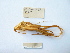  ( - 02DRAGO_G03)  @12 [ ] Copyright  G. Blagoev 2010 Unspecified