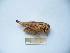  ( - 03DRAGO_A06)  @12 [ ] Copyright  G. Blagoev 2010 Unspecified