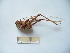  ( - 03DRAGO_A09)  @12 [ ] Copyright  G. Blagoev 2010 Unspecified