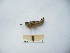  (Odontopodisma montana - 03DRAGO_B01)  @12 [ ] Copyright  G. Blagoev 2010 Unspecified