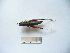  ( - 03DRAGO_B02)  @12 [ ] Copyright  G. Blagoev 2010 Unspecified