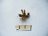  ( - 03DRAGO_B03)  @12 [ ] Copyright  G. Blagoev 2010 Unspecified