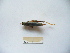  ( - 03DRAGO_B04)  @12 [ ] Copyright  G. Blagoev 2010 Unspecified
