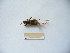  ( - 03DRAGO_B06)  @12 [ ] Copyright  G. Blagoev 2010 Unspecified