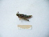  ( - 03DRAGO_B08)  @12 [ ] Copyright  G. Blagoev 2010 Unspecified