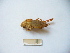 ( - 03DRAGO_E06)  @12 [ ] Copyright  G. Blagoev 2010 Unspecified