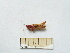  ( - 04DRAGO_B05)  @11 [ ] Copyright  G. Blagoev 2010 Unspecified