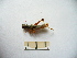  ( - 04DRAGO_E09)  @13 [ ] Copyright  G. Blagoev 2010 Unspecified