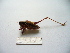  ( - 04DRAGO_F01)  @13 [ ] Copyright  G. Blagoev 2010 Unspecified