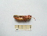  ( - 04DRAGO_H02)  @13 [ ] Copyright  G. Blagoev 2010 Unspecified