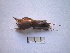  ( - 05DRAGO_A04)  @13 [ ] Copyright  G. Blagoev 2010 Unspecified