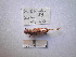  ( - 05DRAGO_A07)  @13 [ ] Copyright  G. Blagoev 2010 Unspecified