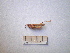  ( - 05DRAGO_C03)  @12 [ ] Copyright  G. Blagoev 2010 Unspecified
