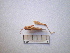  ( - 05DRAGO_C04)  @12 [ ] Copyright  G. Blagoev 2010 Unspecified