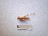  ( - 05DRAGO_C05)  @12 [ ] Copyright  G. Blagoev 2010 Unspecified