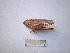  ( - 05DRAGO_D02)  @12 [ ] Copyright  G. Blagoev 2010 Unspecified