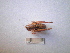  ( - 05DRAGO_D05)  @13 [ ] Copyright  G. Blagoev 2010 Unspecified