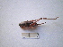  ( - 05DRAGO_D06)  @13 [ ] Copyright  G. Blagoev 2010 Unspecified