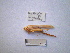  ( - 05DRAGO_D12)  @11 [ ] Copyright  G. Blagoev 2010 Unspecified