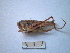  ( - 05DRAGO_F02)  @12 [ ] Copyright  G. Blagoev 2010 Unspecified