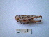  ( - 05DRAGO_F03)  @12 [ ] Copyright  G. Blagoev 2010 Unspecified