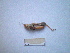 ( - 05DRAGO_F12)  @13 [ ] Copyright  G. Blagoev 2010 Unspecified