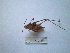  ( - 05DRAGO_G08)  @12 [ ] Copyright  G. Blagoev 2010 Unspecified