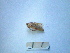  ( - 05DRAGO_G12)  @13 [ ] Copyright  G. Blagoev 2010 Unspecified