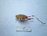  ( - 05DRAGO_H02)  @13 [ ] Copyright  G. Blagoev 2010 Unspecified