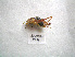 ( - 06DRAGO_A02)  @12 [ ] Copyright  G. Blagoev 2010 Unspecified