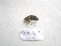  ( - 06DRAGO_D05)  @13 [ ] Copyright  G. Blagoev 2010 Unspecified