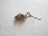  ( - 06DRAGO_G03)  @12 [ ] Copyright  G. Blagoev 2010 Unspecified