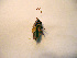  ( - 06DRAGO_G10)  @11 [ ] Copyright  G. Blagoev 2010 Unspecified