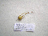  ( - 07DRAGO_A09)  @12 [ ] Copyright  G. Blagoev 2010 Unspecified