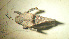  ( - 07DRAGO_H06)  @13 [ ] Copyright  G. Blagoev 2010 Unspecified
