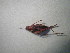  ( - CCDB-11143-B11)  @12 [ ] Copyright  G. Blagoev 2011 Unspecified