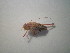  ( - CCDB-11143-D09)  @12 [ ] Copyright  G. Blagoev 2011 Unspecified
