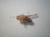  ( - CCDB-11143-D10)  @12 [ ] Copyright  G. Blagoev 2011 Unspecified
