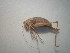  ( - CCDB-11143-E01)  @11 [ ] Copyright  G. Blagoev 2011 Unspecified