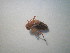  ( - CCDB-11143-E03)  @12 [ ] Copyright  G. Blagoev 2011 Unspecified